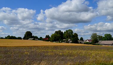 Kibyšiai village