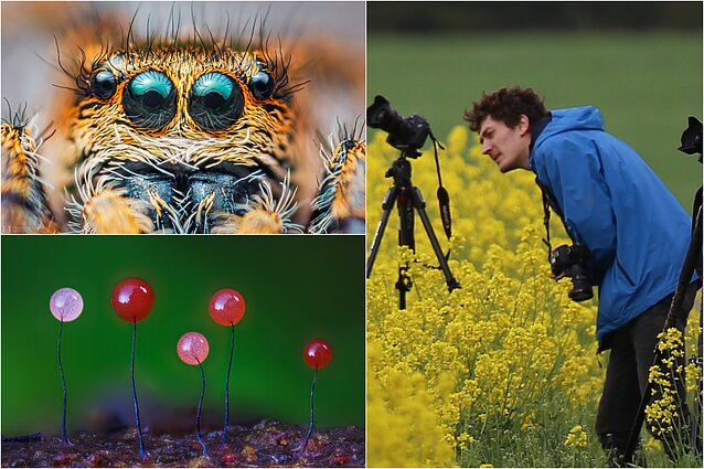 Gamtos fotografas Lukas Jonaitis ir jo modeliai Gamtos fotografas Lukas Jonaitis ir jo modeliai