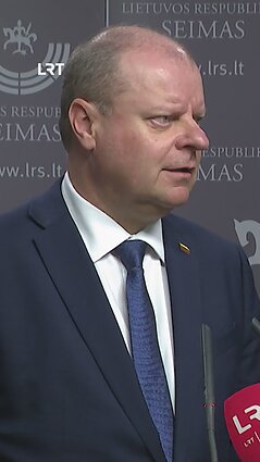 Skvernelis apie Ruginienę: jeigu kalbant rimtai – yra rizika