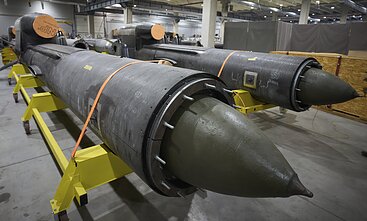 Raketos „Flamingo“ 