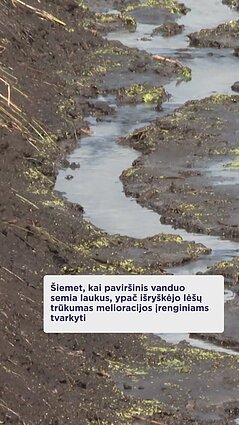 Trūksta lėšų melioracijai tvarkyti