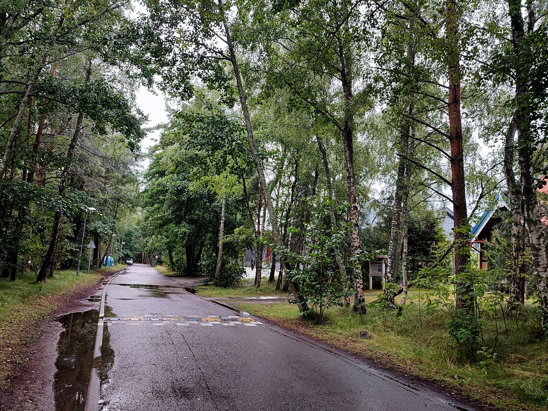 E. A. Jonušo gatvė Neringoje