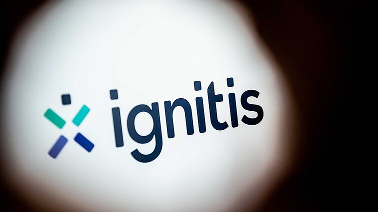 Įžvelgia pavojų sumanyme išpirkti „Ignitis“ akcijas: terpė piktnaudžiavimui ir korupcijai