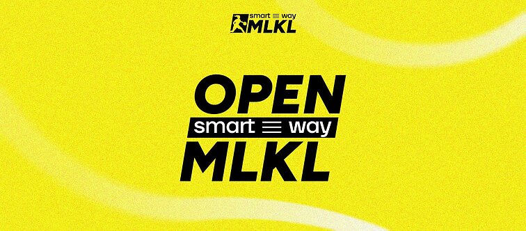 „Smart Way Moterų Lietuvos krepšinio lyga“