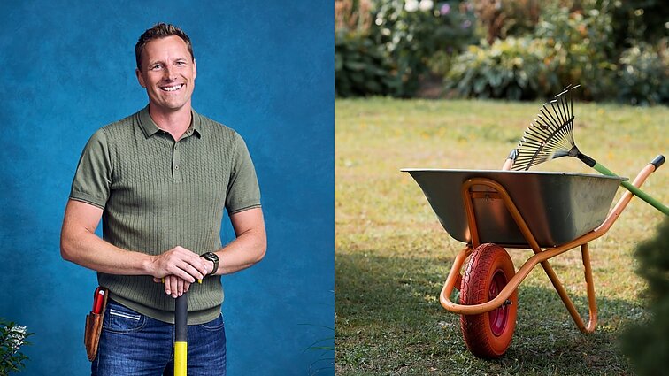 Agronomas patarė, ką sode nuveikti iki rudens: kitiems metams reikia ruoštis jau dabar