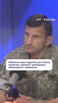 R. Vaikšnoras: jei „Gerbera“ vėl kirstų oro erdvę, ji būtų naikinama