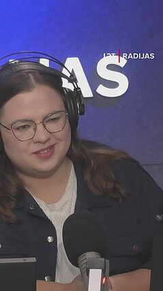 R. Vaikšnoras: jei „Gerbera“ vėl kirstų oro erdvę, ji būtų naikinama