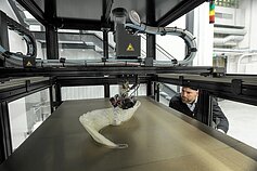 3D spausdintuvas 3D spausdintuvas