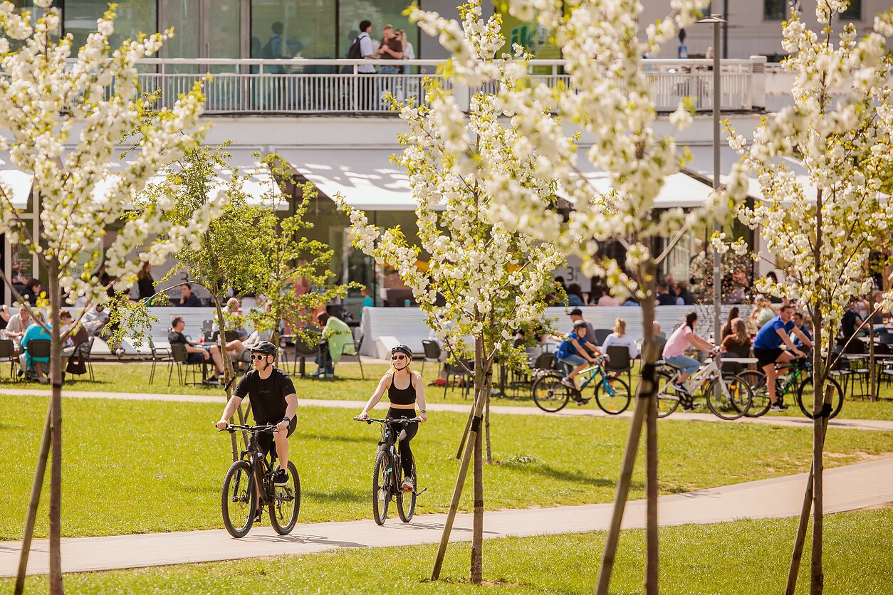 Экономика; весна (ассоциативное)