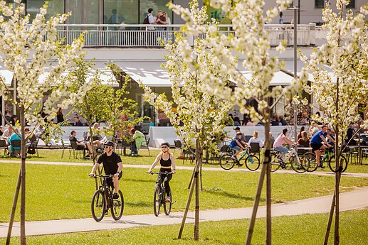 Экономика; весна (ассоциативное)