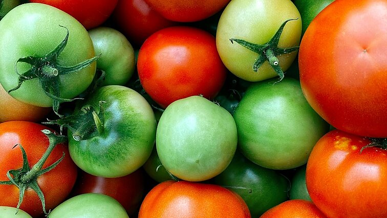 Marinuoti, rauginti, o gal džiovinti? Patarė, kaip perdirbti nesunokusius pomidorus