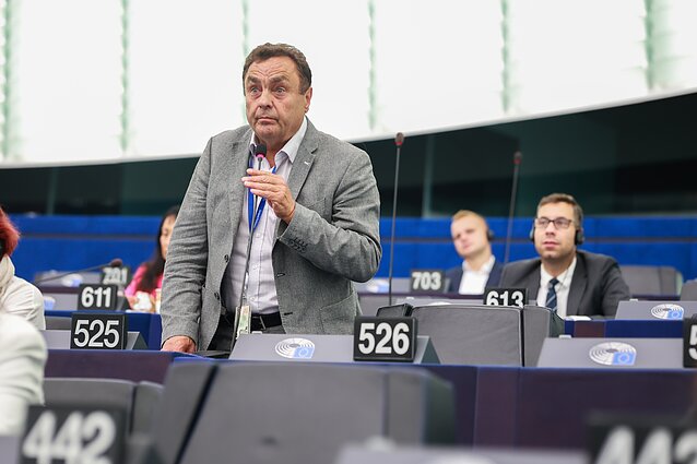 Petras Gražulis Europos Parlamente