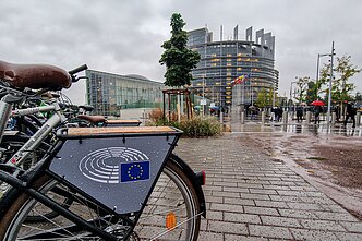 Europos Parlamentas Strasbūre