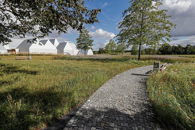 «Исчезнувший штетл»