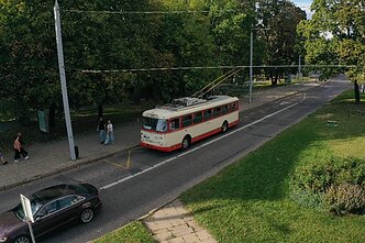 Troleibusas Troleibusas