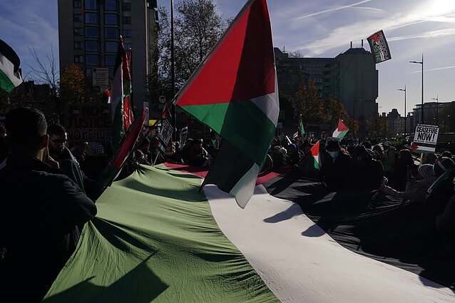 Palestinos vėliavos