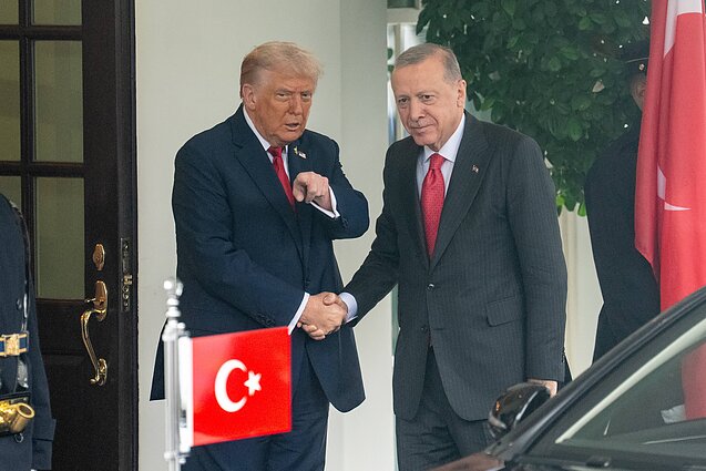 D. Trumpas, R. T. Erdoganas