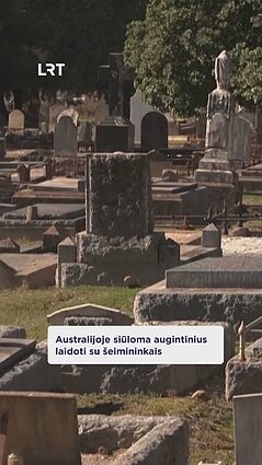 Australijoje daugėja žmonių, norinčių būti palaidotais su savo augintiniais