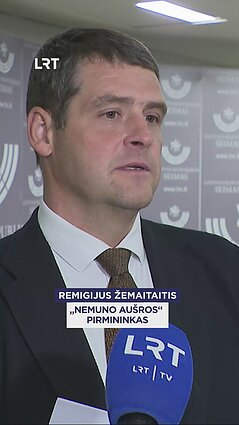 Žemaitaitis: Lietuva turėtų kitu keliu eiti ir Konstitucinį Teismą naikinti