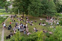 Festivalis „Ūmėdė“ Festivalis „Ūmėdė“