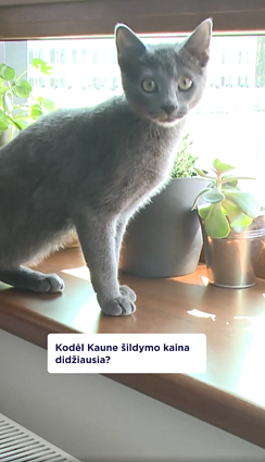 Šildymo kainos Kaune