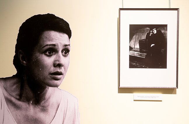 Jubiliejinio aktorės Eglės Gabrėnaitės vakaro akimirkos