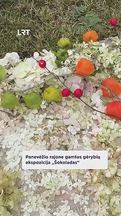 Gamtos gėrybių ekspozicija „Šokoladas“