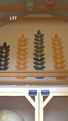 Išskirtinę sodybą savo rankomis kurianti vilnietė Agnė aprodo savo vištidę