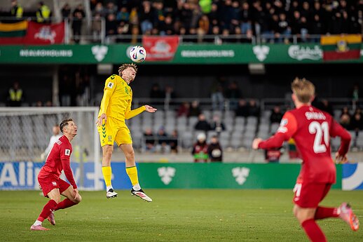 Pasaulio futbolo čempionato atranka: Lietuva – Lenkija