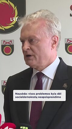 Prezidento komentaras apie valdančiąją koaliciją