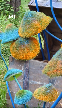 Ar jau lankėtės „Grybų parke“?