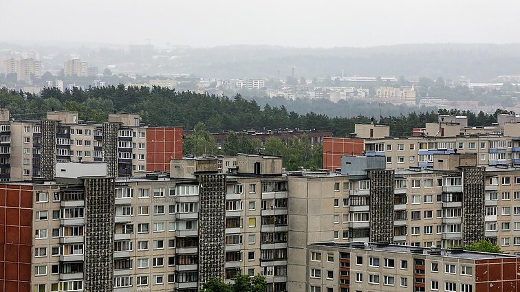 Gyventojai sutrikę – namo stogą užpuolė varnos: vos užlopo skyles, šios vėl pasidarbuoja