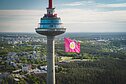 Фестиваль холодного борща «Vilnius Pink Soup Fest» 