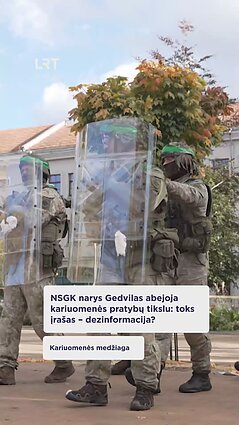 NSGK pirmininkas: Aido Gedvilo teiginiai – nepriimtini