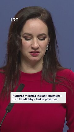 Ruginienė apie kultūros ministro paieškas: aš pati ieškau tinkamo kandidato