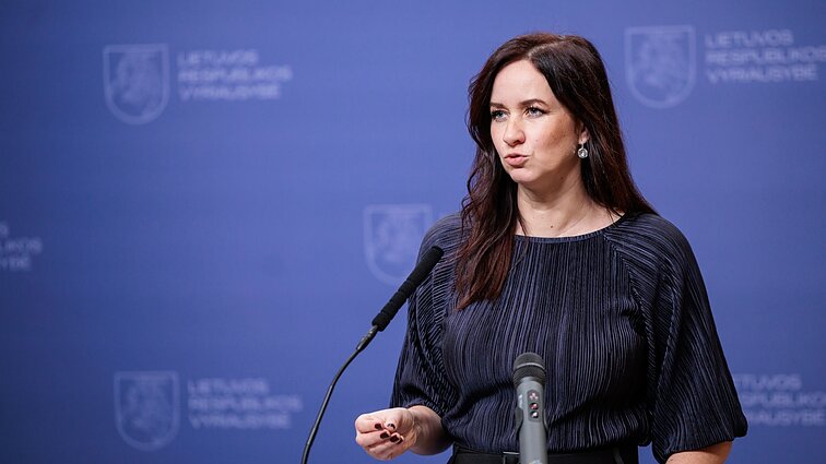 Žemaitaičio gąsdinimų nesureikšminanti Ruginienė: su manimi reikia naudoti argumentų kalbą