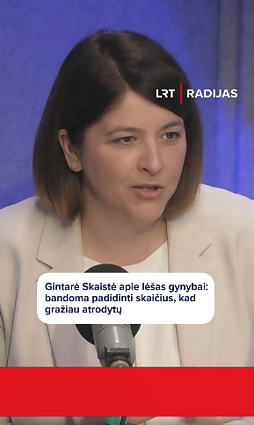 Gintarė Skaistė apie lėšas krašto gynybai: bando viską sušluoti po vienu kilimu