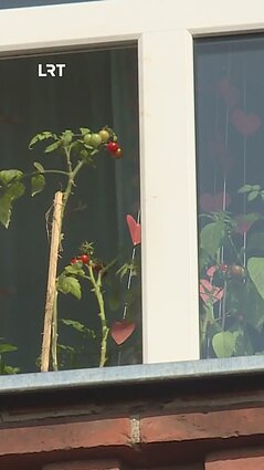 Kalinimo sąlygos Panevėžio kalėjime: daugėja skundų dėl maisto, pelėsio ir apribojimų