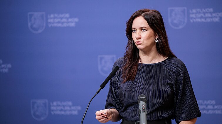 Ruginienė: reikalausiu Seimo, kad 5 proc. BVP būtų skiriami išskirtinai gynybai