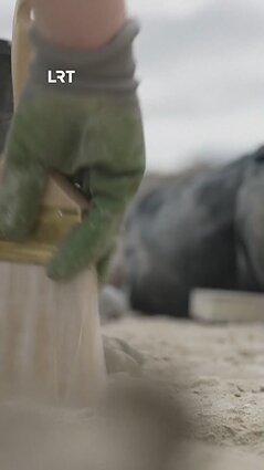 JK mokslininkai aptiko iki šiol ilgiausią Europoje dinozauro pėdsakų taką