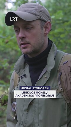 Karo akivaizdoje – pelkių atkūrimas