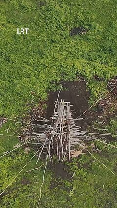 Starkus išvydo Vanuatu gyventojų šuolius