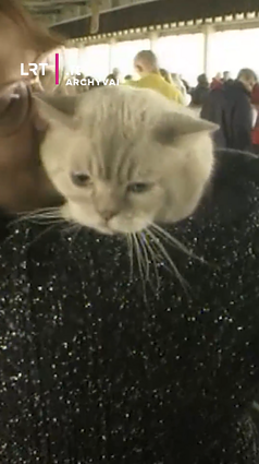 Archyvinis reportažas iš 2002 metais Klaipėdoje vykusios kačių parodos