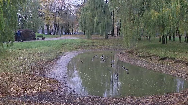Kauniečiai įtaria, jog Dainavos tvenkinys nusausintas dirbtinai: tai žmogaus įsikišimas