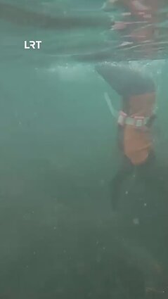 Kaip atrodo nardytojų darbas Pietų Korėjoje?