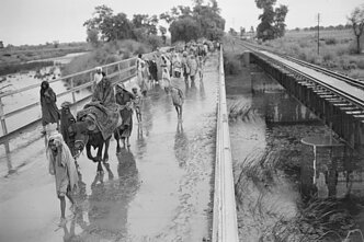 Pabėgėliai Indijos-Pakistano pasienyje 1947-aisiais
