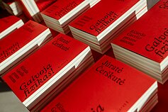 Jūratės Čerškutės monografija „Galvoja fizikas! Ričardo Gavelio prozos sistema“ 