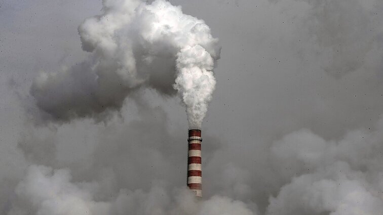 „Pasekmės gali būti katastrofiškos“: Brazilijoje prasideda klimato kaitos konferencija