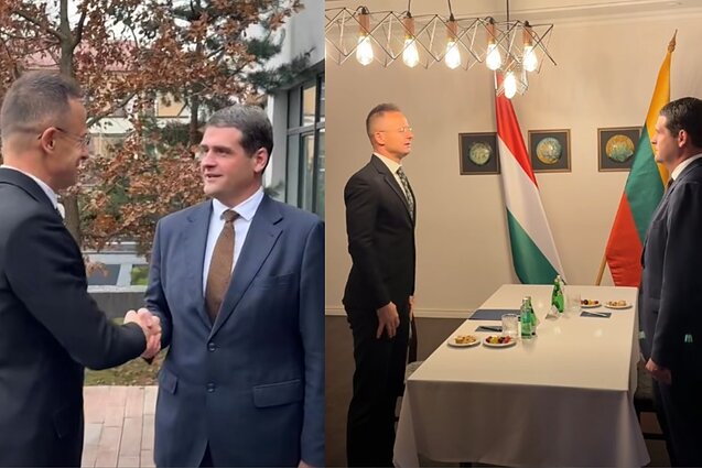 The meeting of Hungarian Foreign Minister Peter Szijjártó and Lithuanian MP Remigijus Žemaitaitis