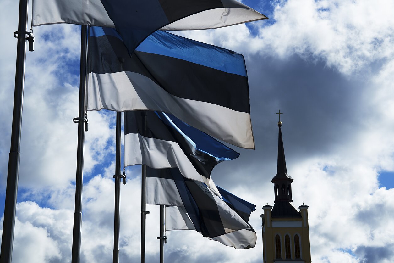 Estijos vėliava